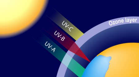 Evaluation of three UV absorbers 三種紫外線吸收劑的評價