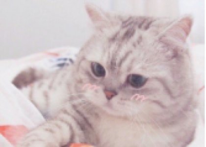 雙十一快樂(lè)！德達(dá)宣講會(huì)及第七屆德達(dá)志成青大經(jīng)濟(jì)學(xué)院勵(lì)學(xué)金發(fā)放預(yù)告