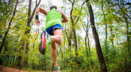 性能優(yōu)異的聚氨酯用抗黃變劑---歐穩(wěn)德HN130、HN150