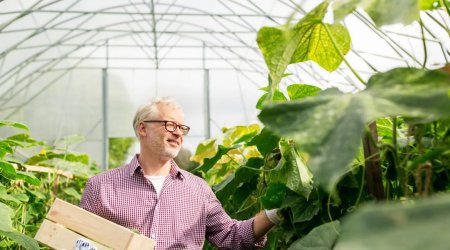 農(nóng)膜用抗UV淬滅劑——OMNISTAB UV1084