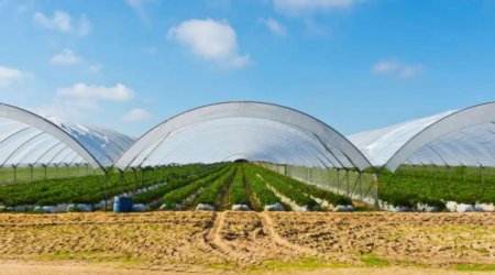 農(nóng)膜用受阻胺光穩(wěn)定劑—?dú)W穩(wěn)德? LS622