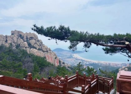 春和景明 向上而行 | 德達(dá)特化十二周年慶